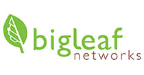 Bigleaf