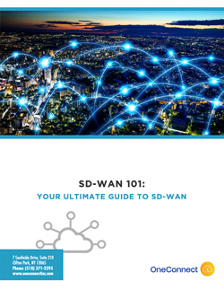 Whitepaper thumbnail for SD-WAN 101: Your Ultimate Guide to SD-WAN