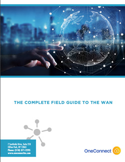 Whitepaper thumbnail for The Complete Guide to the WAN